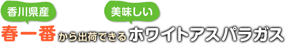 地域に暮らす人々の幸せを支える安心・安全な『ものづくり』